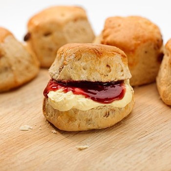 Plain Scones